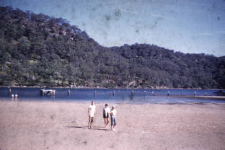 Crab hunting at the Basin slide