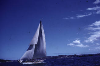 KURREWA sailboat at Manly slide