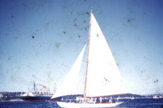 KURREWA after the finish in Sydney Harbour slide