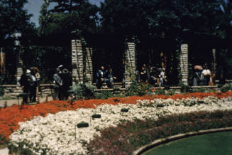 Sandringham Gardens slide