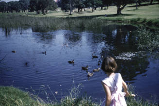Little girl feeding ducks in a park slide