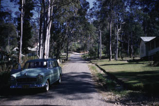 Kananook Ave. Bayview slide