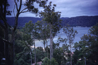 Taminga Street view looking North West slide