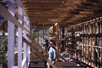 Timber frame construction at Kannanook slide