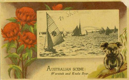 AUSTRALIAN SCENE, WARATAH AND KOALA BEAR POSTCARD