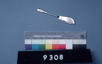 Shaw Savill Line butter knife