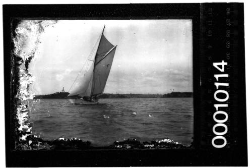 Portside view of yacht ISEA on Sydney Harbour,  with the number '17' displayed on the mainsail