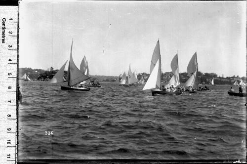 16-foot skiffs participating in a regatta in Sydney Harbour