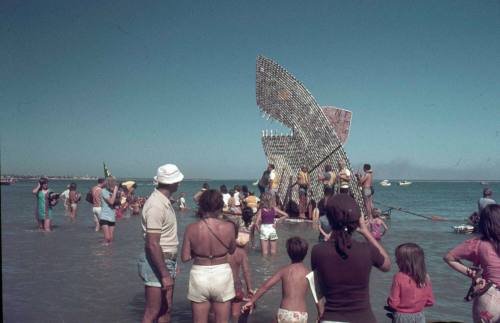 Slide of Beer Can Regatta boat in the shape of a shark