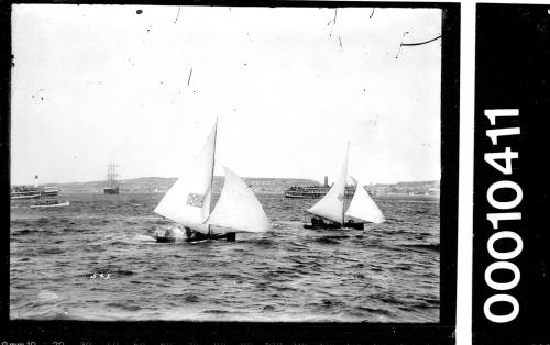 16-foot skiffs under sail on Sydney Harbour