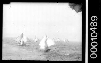 18-footers racing on Sydney Harbour