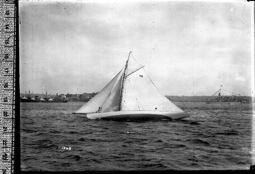 Sailing vessel on Sydney Harbour with the number '19' displayed on the mainsail