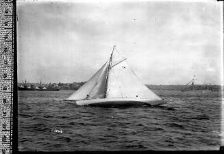 Sailing vessel on Sydney Harbour with the number '19' displayed on the mainsail