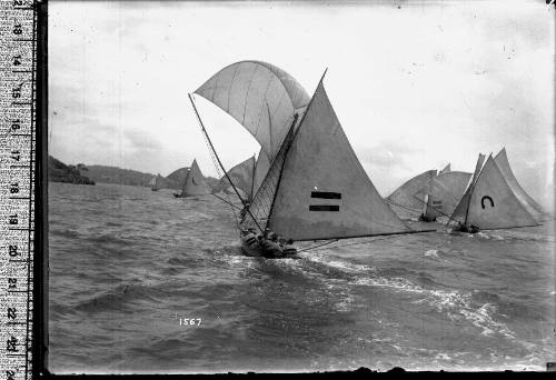 18-footers sailing near Clark Island, Sydney Harbour