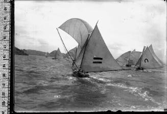 18-footers sailing near Clark Island, Sydney Harbour