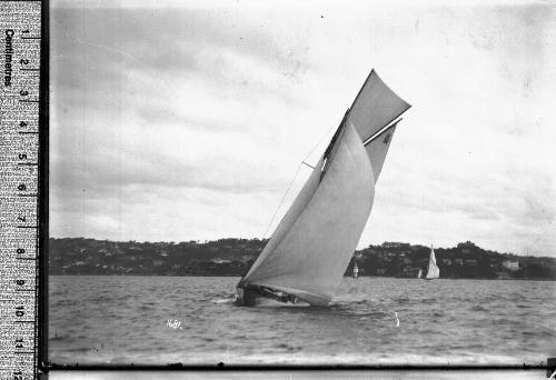 SASC yacht CAPRICE (A30), Sydney Harbour