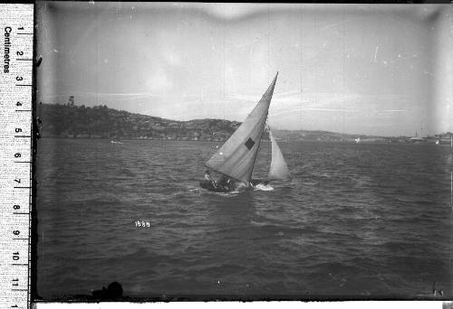 16-foot skiff with a rectangular emblem on the mainsail, Sydney Harbour