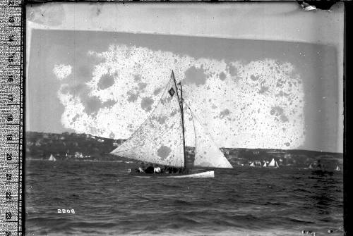 Half-decker with 2-tone emblem on the mainsail, Sydney Harbour