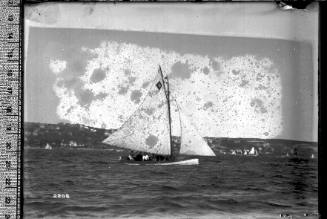 Half-decker with 2-tone emblem on the mainsail, Sydney Harbour