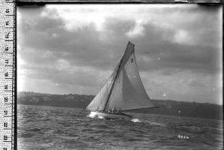 Sloop displaying the number '7' on the mainsail, Sydney Harbour