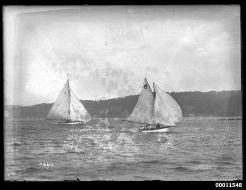 Yachts racing on Pittwater