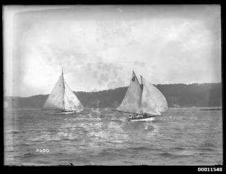 Yachts racing on Pittwater