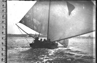 18-footer skiff MAVIS sailing on Sydney Harbour