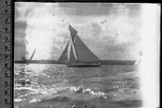 Sloop at sail in Sydney Harbour