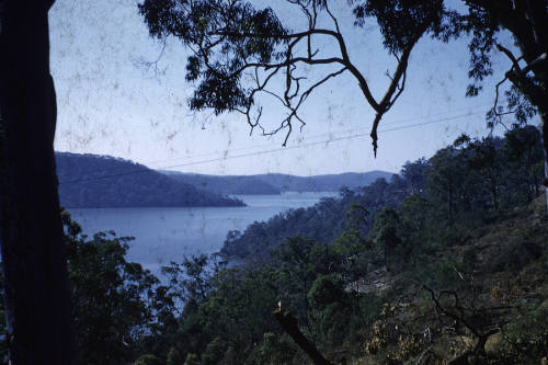 Looking east along the Hawkesbury slide