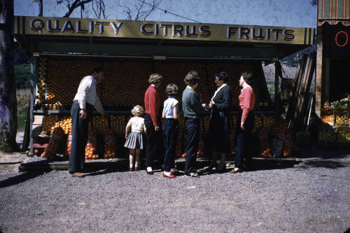 Gosford oranges fruit stand slide