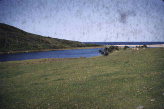 Grass and water at Glenrock Lagoon slide