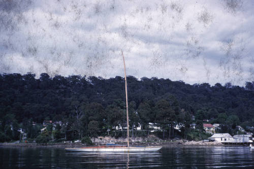 Sailboat SKYE at mooring