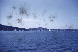 1960 Pittwater Regatta