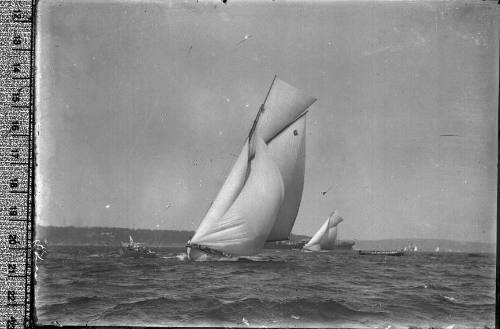 Sailing vessel with the number '6' displayed on the mainsail at sail in Sydney Harbour