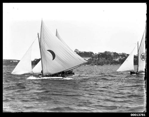 14-footers on Sydney Harbour