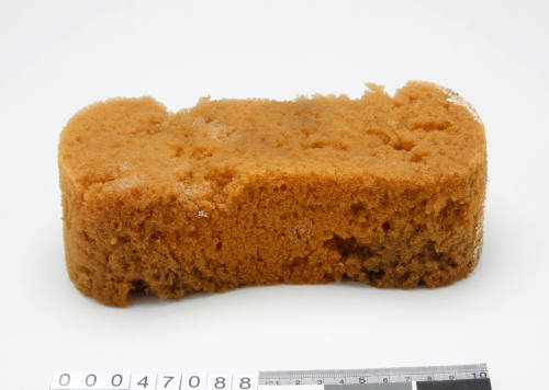 Sponge used on LOT 41 voyage