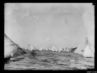Large fleet of 18-footers racing near the shore, Sydney Harbour