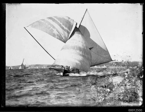 Skiff under full sail on Sydney Harbour