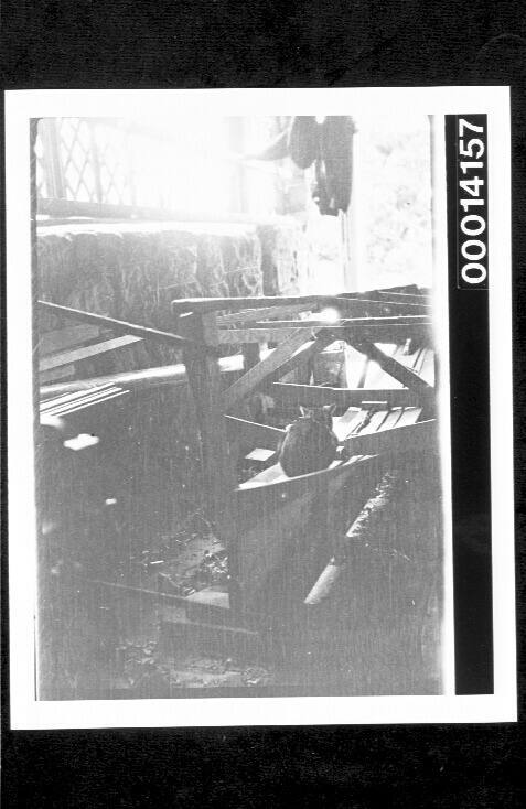 Cat sitting in a timber filled shed