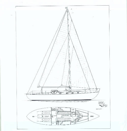 Interior and profile plan of ANITRA