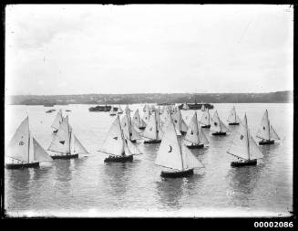 16-foot skiffs sailing on Sydney Harbour