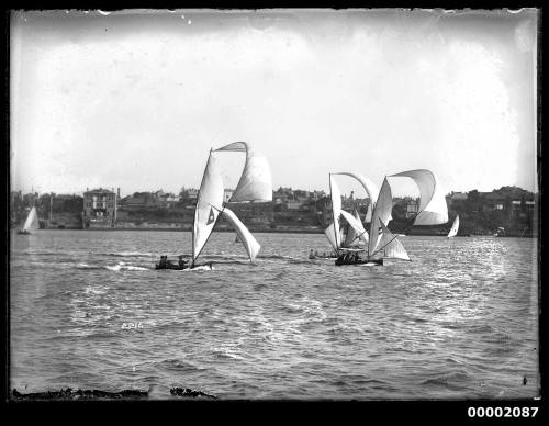 Three 16-foot skiffs with their spinnakers flying high on Sydney Harbour