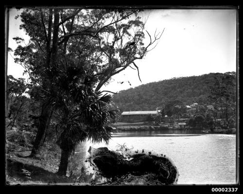 Riverscape scene, possibly the Hawkesbury River near Singletons Mill NSW