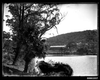 Riverscape scene, possibly the Hawkesbury River near Singletons Mill NSW