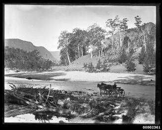 Carriage at a river, possibly the Hawkesbury River NSW