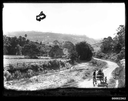 Carriage within an Australian bush landscape, possibly along the Hawkesbury River NSW