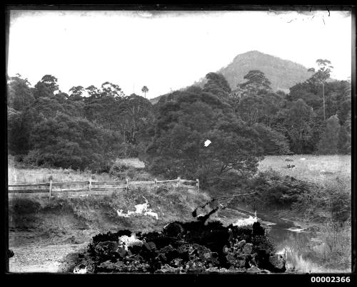 Glass plate negative image of Australian landscape, possibly along the Hawkesbury River NSW
