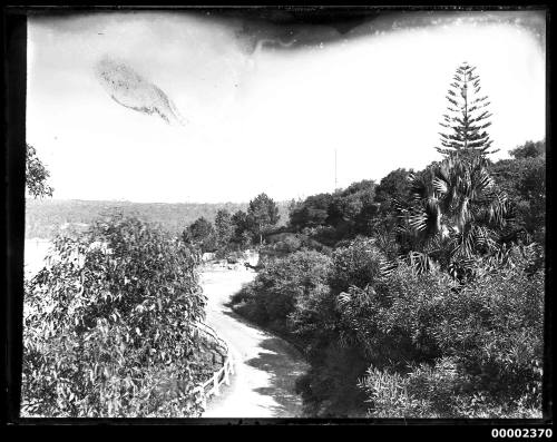 Glass plate negative image of a road and landscape scenery