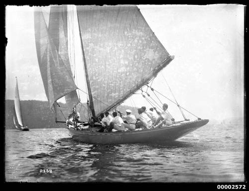 Yachts under sail on a harbour, possibly Sydney