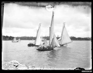 VOLUNTEER and LADY DUFF sailing off Farm  Cove